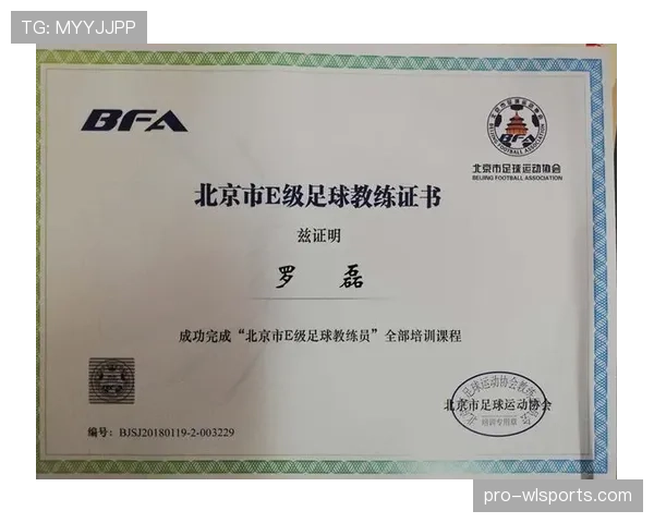 足球球场尺寸规则及裁判对场地规范的严格要求解析