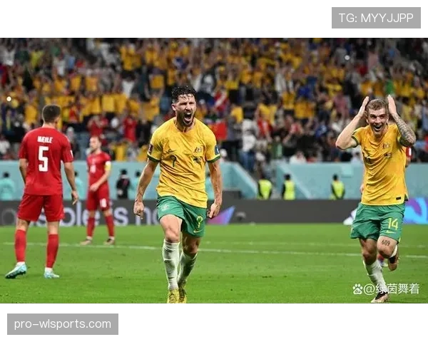 突尼斯冲击2026世界杯：北非劲旅能否突围晋级正赛
