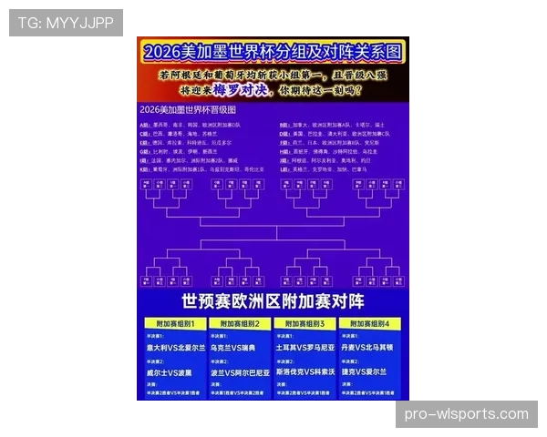 2026世界杯波黑队能否突破历史最佳战绩 晋级之路与阵容分析